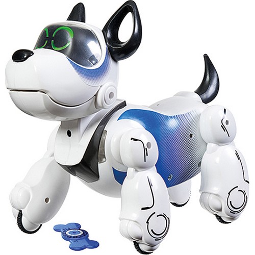 Buy Robot Dog Pupbo Blue on Robot Advance