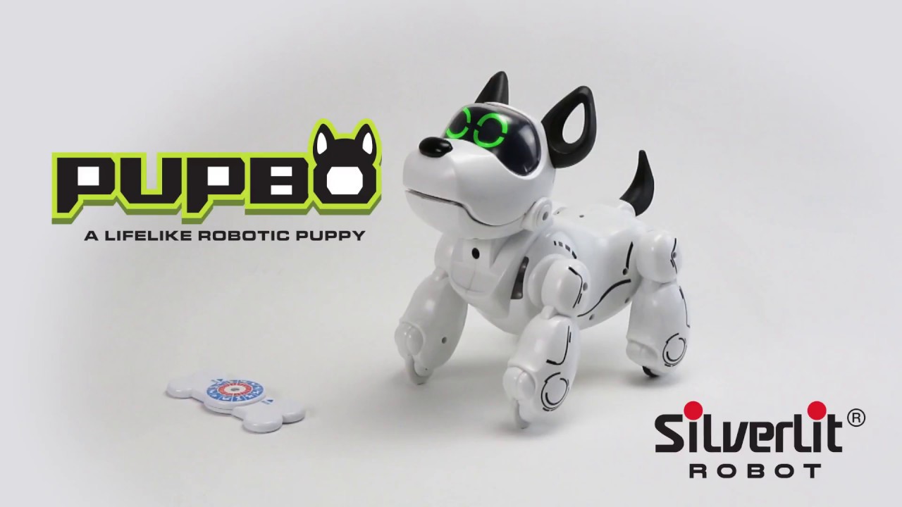 robot chien pupbo