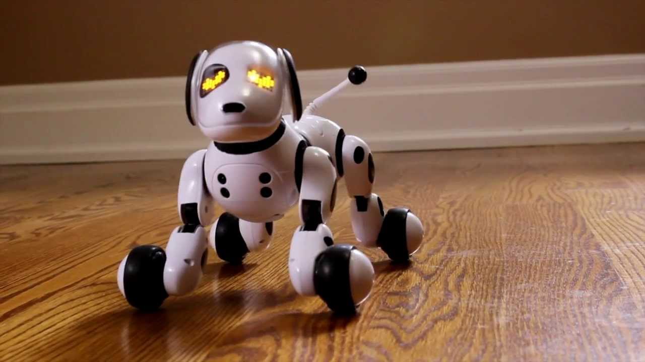 robot dog toy zoomer